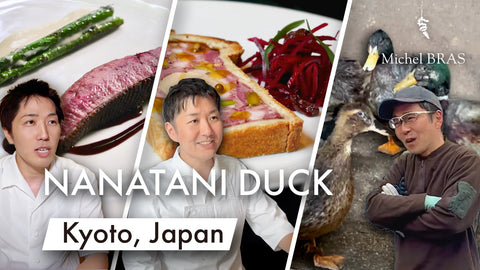 NANATANI DUCK