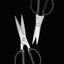 Michel BRAS Kitchen Scissors